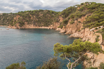 Fototapeta premium Sant Feliu Bay