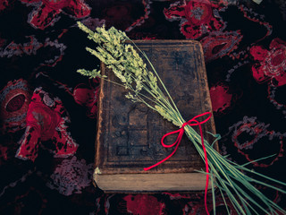 Vintage style. closed antique book with dry grass and red thread with floral background