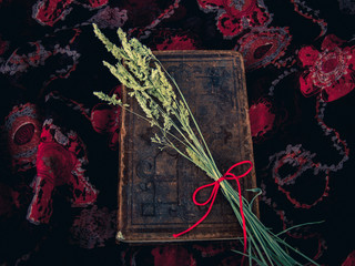 Vintage style. closed antique book with dry grass and red thread with floral background
