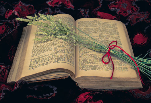 Vintage style. open antique book with dry grass and red thread with floral background