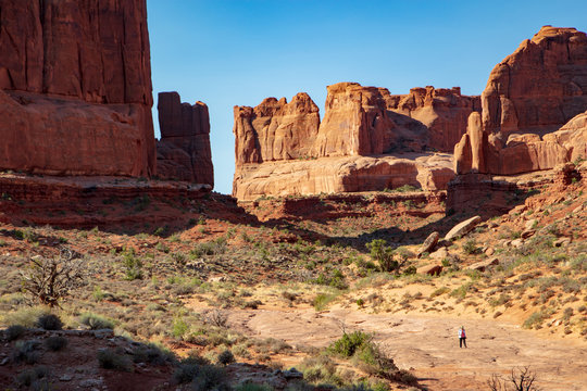 Iconic sculpted Slick Rock found along the Park Avenue Trail in Arches National Park © Anne Lindgren