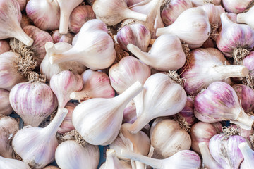 White garlic texture. Fresh garlic on market table closeup photo. Vitamin healthy food spice image. Spicy cooking ingredient picture.  White garlic head heap top view.