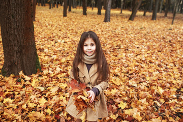 Little girl playing with autumn leaves in the park