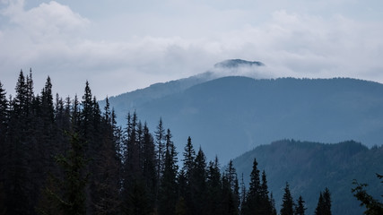 Obraz premium panoramic view of misty forest in western carpathian mountains. Tatra in foggy sunset