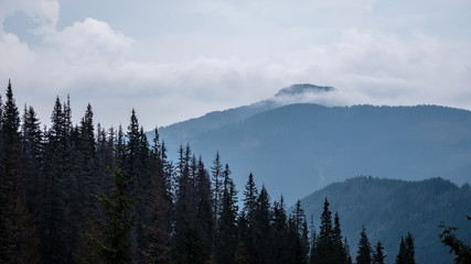 panoramic view of misty forest in western carpathian mountains. Tatra in foggy sunset