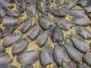 sun-dried fish is thai food.Pla Salit (Trichogaster pectoralis) 