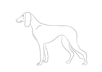 dog stands, lines, vector