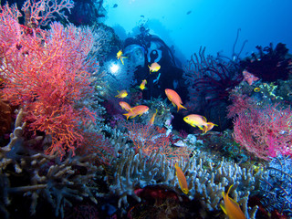 Fototapeta na wymiar Diver exploring colorful reef