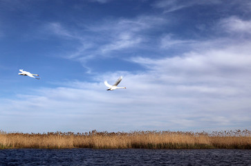 Полёт © personvv