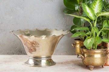 Vintage metal vase and green plants