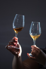 Wine comparison