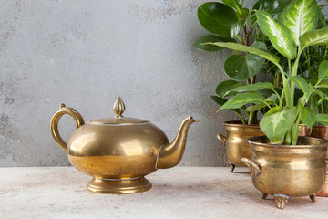 Vintage bronze tea pot and green plants