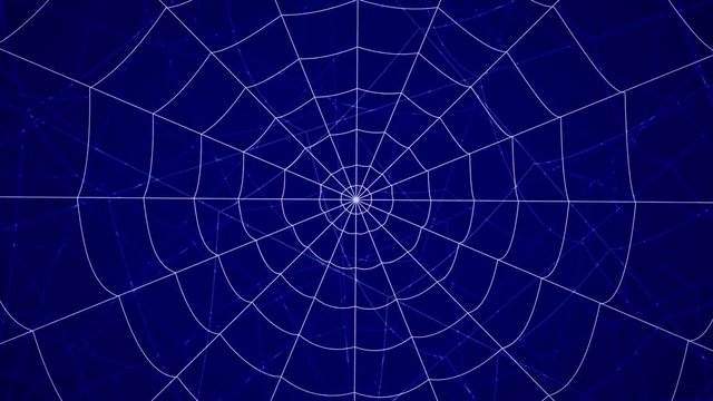 concentric cobwebs on a blue background