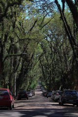 Rua mais bonita do mundo