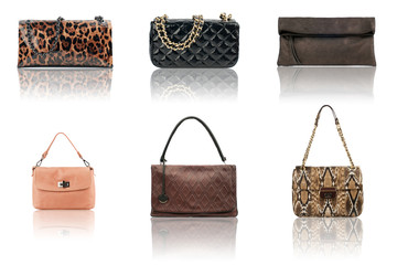 Clutches collection isolated on white background.Front view.
