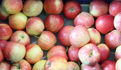 pommes bicolore
