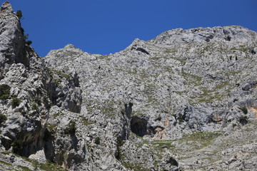 Picos de Europa