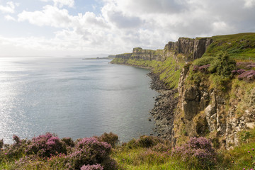 falaise de Dun Deang et bruyère au soleil