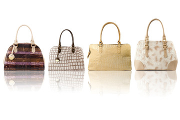 Reptile leather handbag collection isolated on white background.Front view.
