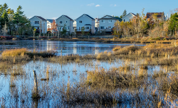 Houses on Belchers Marsh Park cast reflections onto the surface of the pond, autumn October 17, 2014.