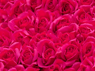 beautiful artificial flowers, decorative hand craft