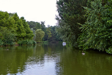 Lake in the park, view from the boat. 