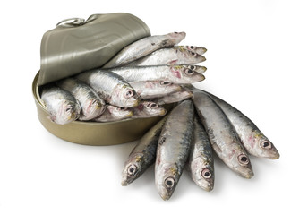 Sardinas frescas en envase