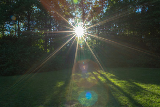 Gegenlicht
