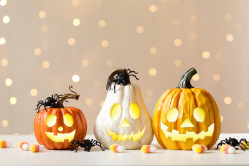 Halloween pumpkins with spider on a shiny light background