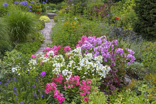 Beautiful garden in summer, with blooming flowers