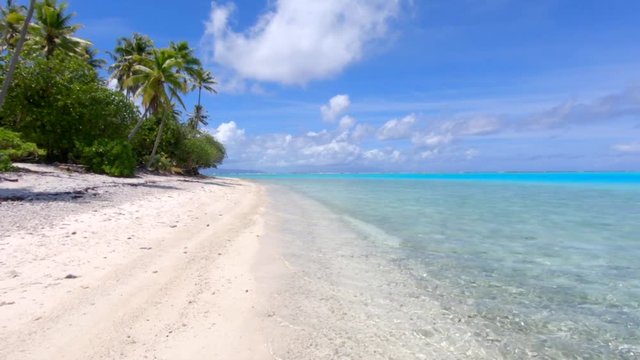 Pan on a private Motu in Bora Bora