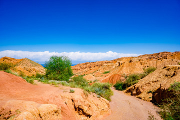 the landscape of the red mountains