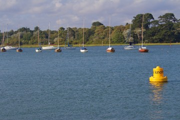 Fototapeta na wymiar Line of Moored Sailboats with Shoreline in Background with Speed Limit Bouy