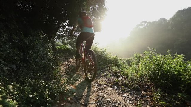 Young woman cyclist riding mountain bike on summer forest trail 