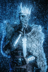 Fototapeta premium knight in medievil armor