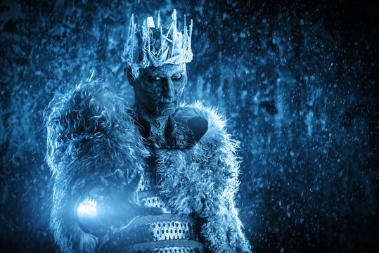 crowned knight in snow