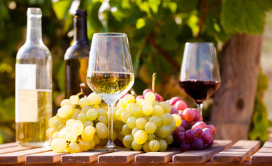 still life with glasses of red and white wine and grapes in field of vineyard