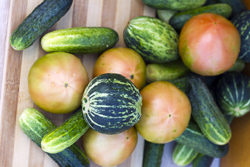 Organic tomatoes, fresh cucumber and unripe watermelon