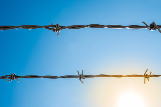 Two strands of barbed wire with blue sky in the background and sunlight