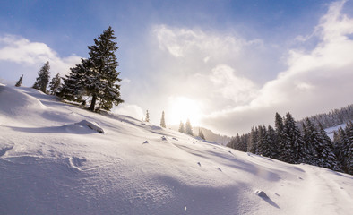 Beautiful  winter scenery in the mountains, with fresh snow, and mist, on a bright sunny day