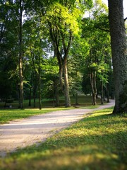 Green park in resort