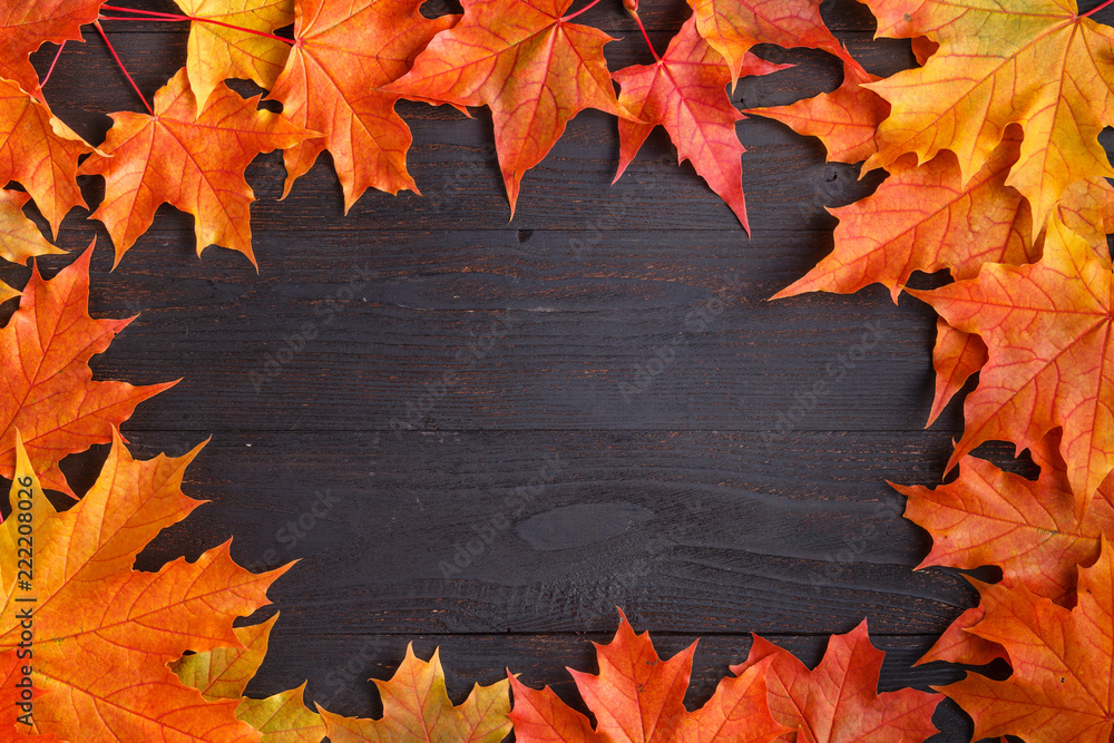 Canvas Prints autumn frame composition with fallen leaves on wooden with copy space for text. thanksgiving, hallow