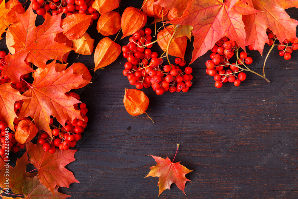 Sticker autumn frame composition with fallen leaves on wooden with copy space for text. thanksgiving, hallow