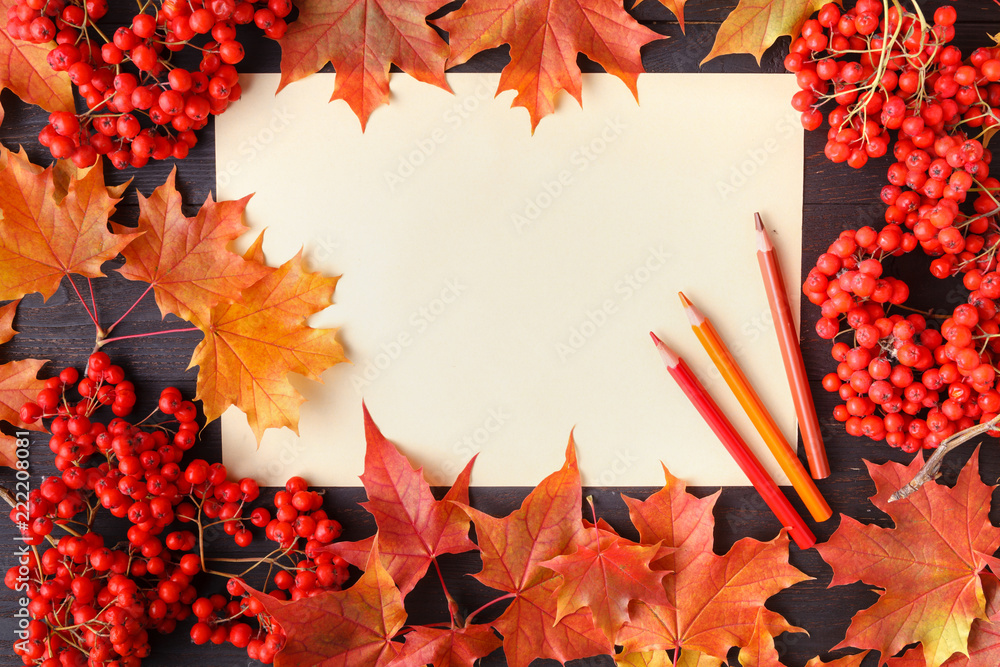 Wall mural autumn leaf composition for picture frame. copy space.