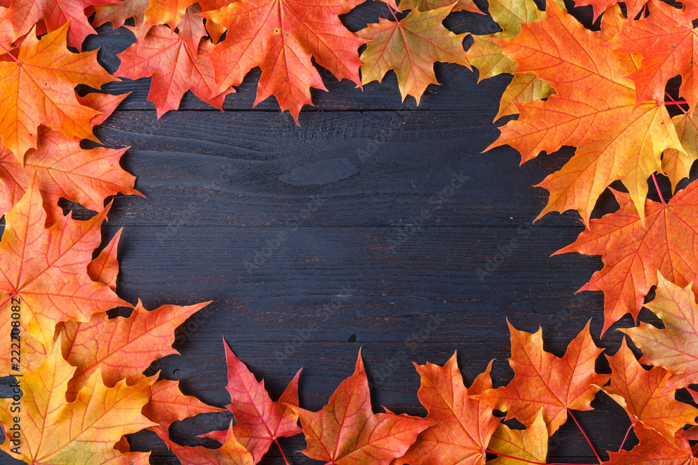 Wall mural autumn leaf composition for picture frame. copy space.