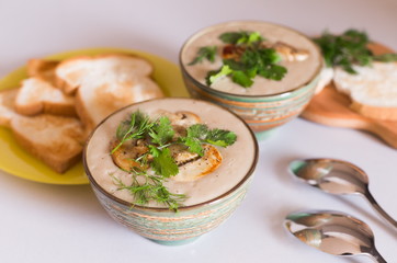 Food. Cream soup with сhampignon, greens, toasts