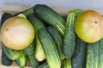 Organic tomatoes, fresh cucumber and unripe watermelon