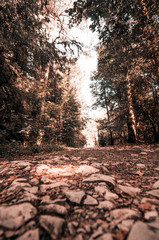 Externsteine Detmold Wanderweg