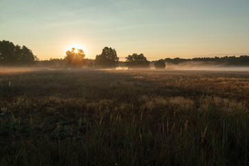 Fototapeta premium Beautiful morning with morning mist