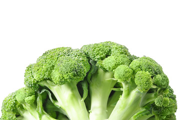 Broccoli isolated on white background. Close up.